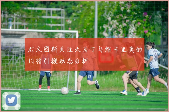 尤文图斯关注大马丁与维卡里奥的门将引援动态分析